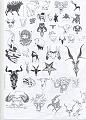 Animali 179